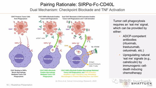 生物技術公司Shattuck上市首日大漲14%，市值突破7億美元